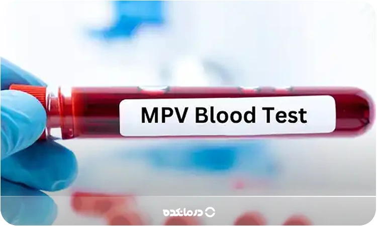 MPV در آزمایش خون؛ مقدار نرمال + درمان پایین و بالا بودن